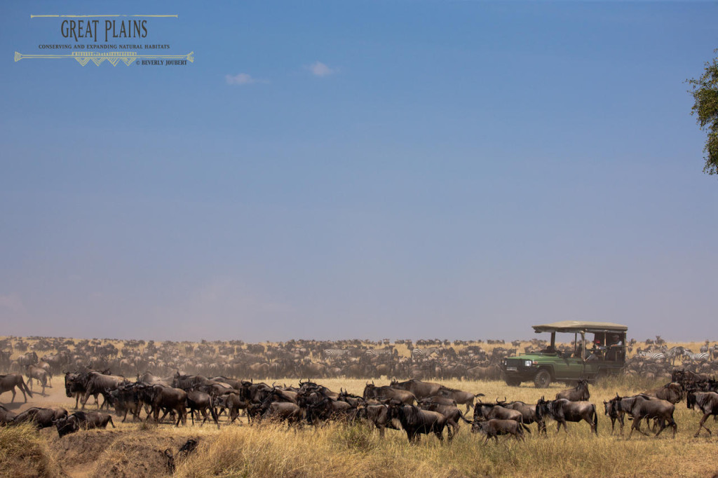 Mara Plains