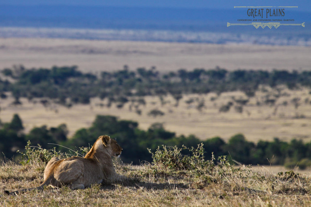 Surveying the Plains