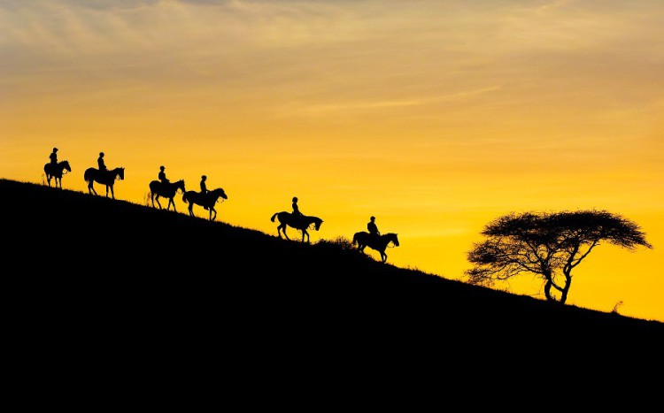Horseback Riding on the African Plains