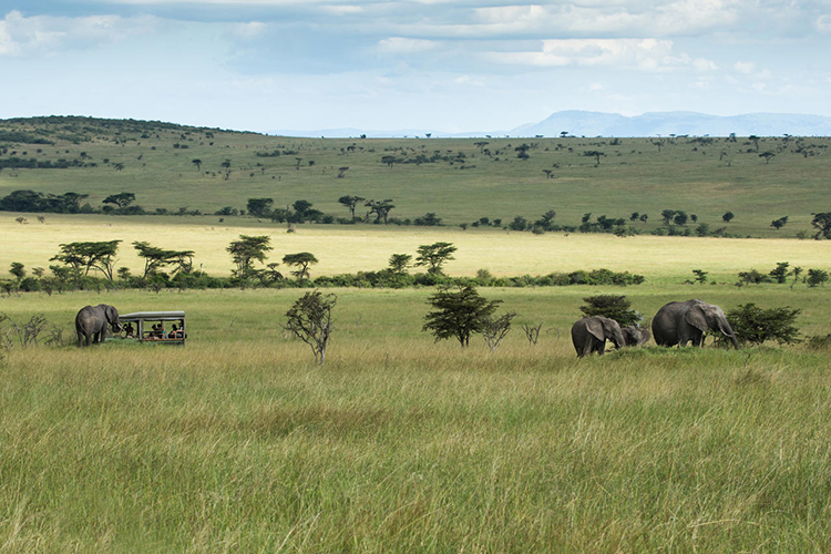 olare-motorogi-conservancy