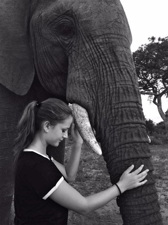 _Camp Jabulani Elephant Experience - The Soul of Africa